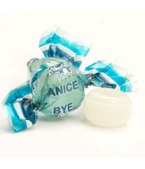 Bye Bye Anice Mangini