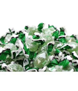 Gelatina Menta Theobroma